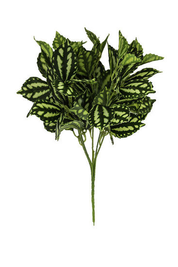 Imagem de Pick Maranta Verde