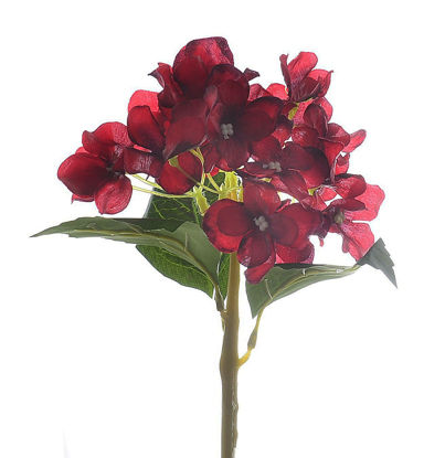 Imagem de HASTE HORTÊNCIA 30cm